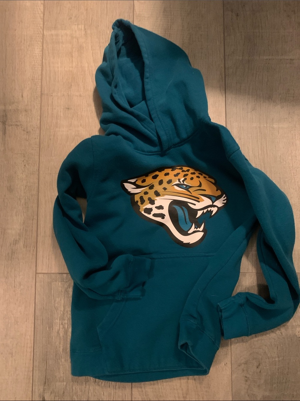 Team Apparel Teal Hoodie with Jaguar Head Graphic